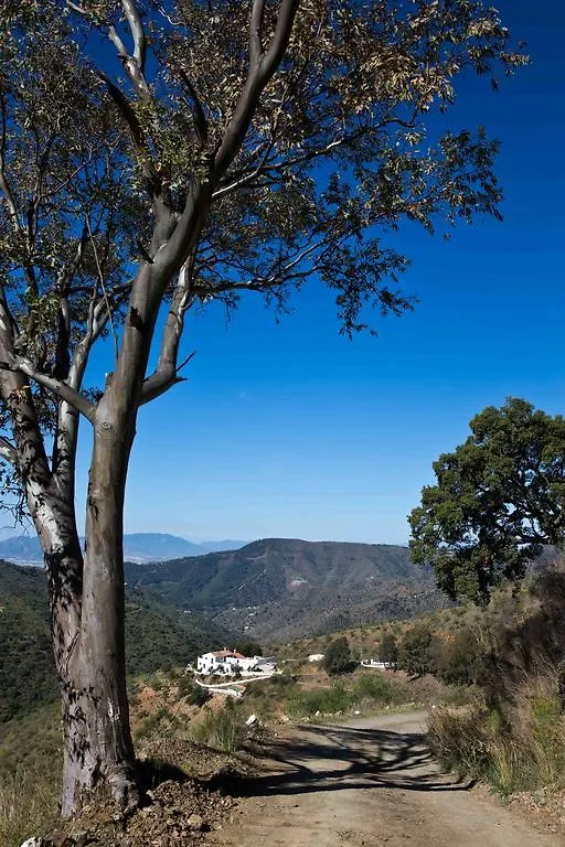 Lantställe Cortijo Juan Salvador Pensionat Olías