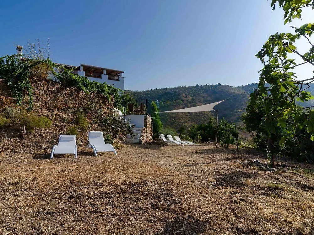 Country house Cortijo Juan Salvador Guest House Olias  Spain
