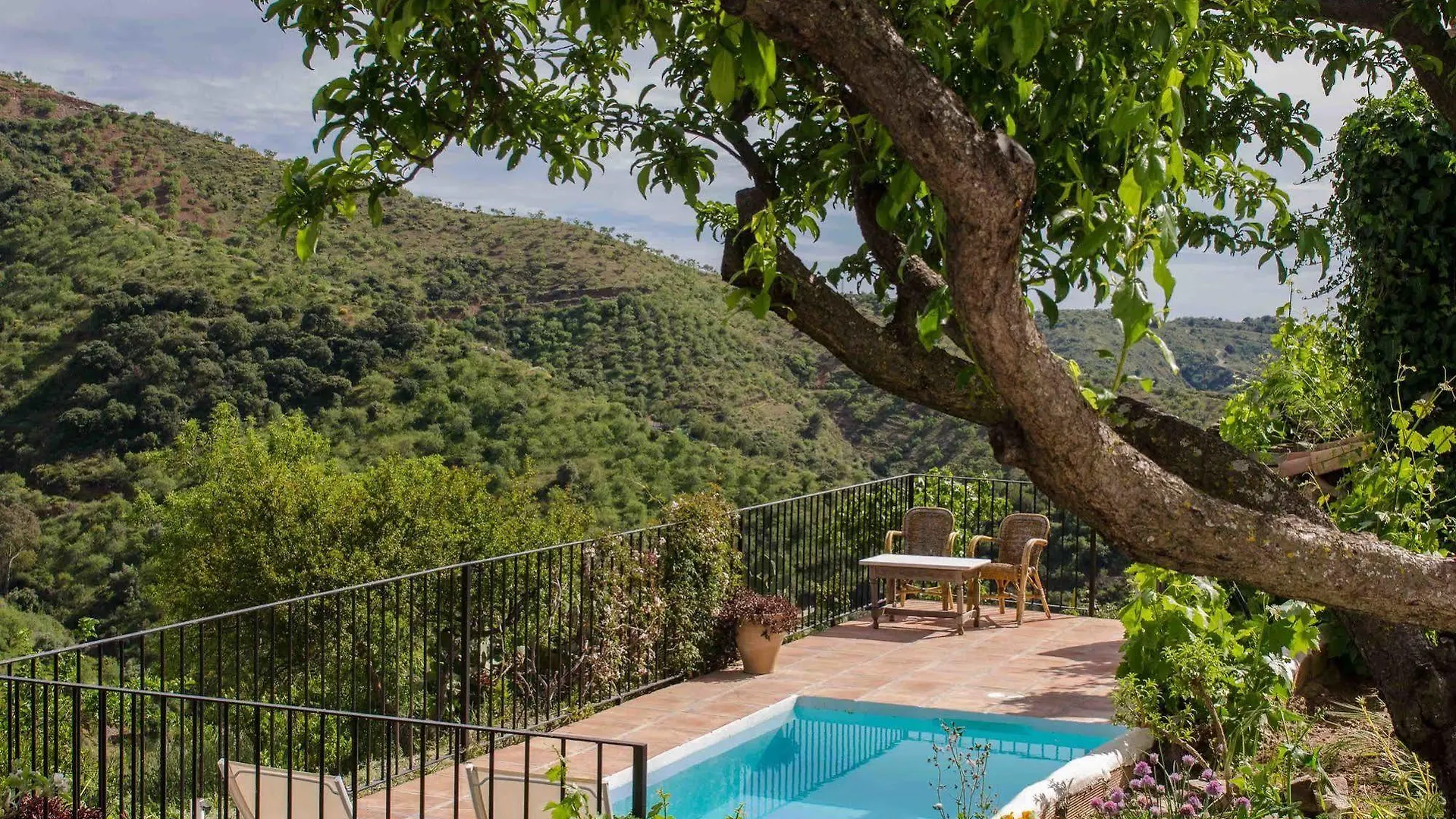 Country house Cortijo Juan Salvador Guest House Olias